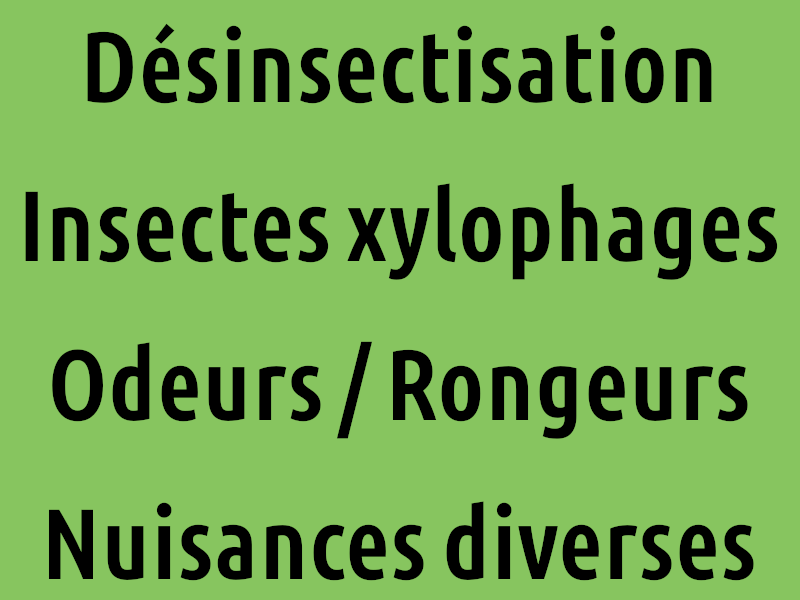 Désinsectisation AlloMouss Désinfection Décès
